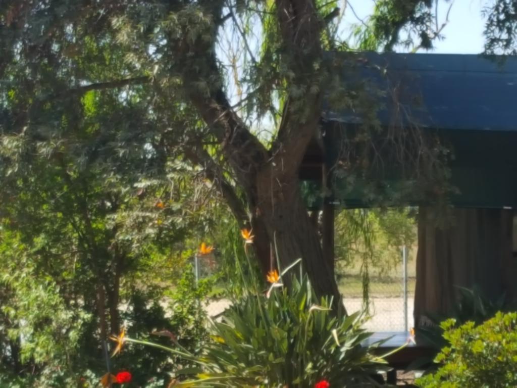 Hoopenburg Guesthouse Klapmuts المظهر الخارجي الصورة